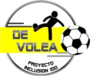 Proyecto DE VOLEA